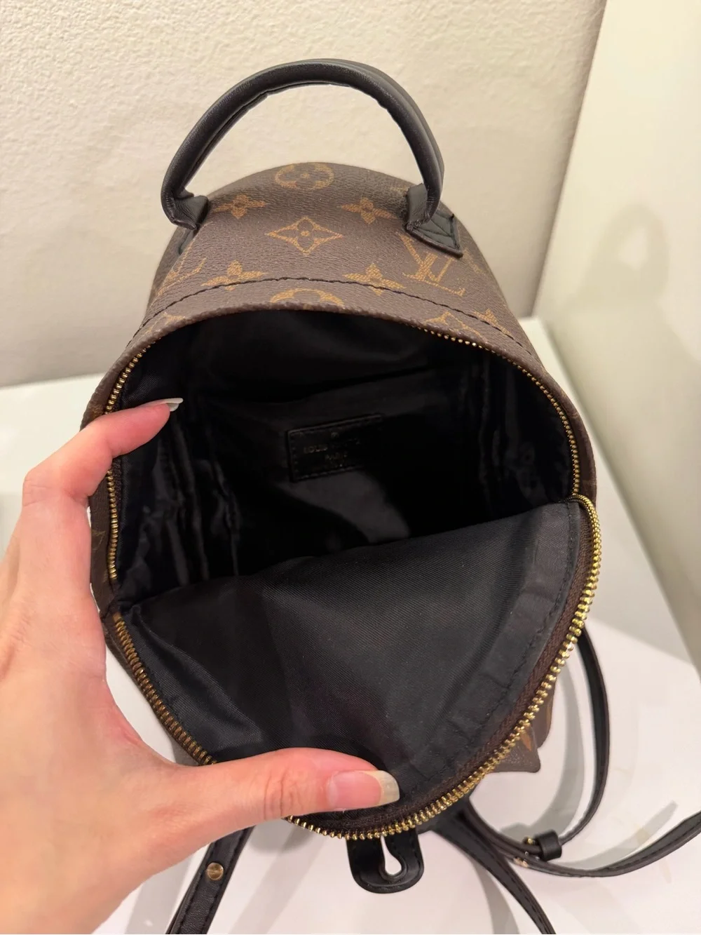 Louis Vuitton Monogram Mini palm Backpack